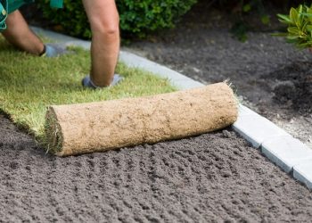 Selbstständig machen als Garten- und Landschaftsbauer