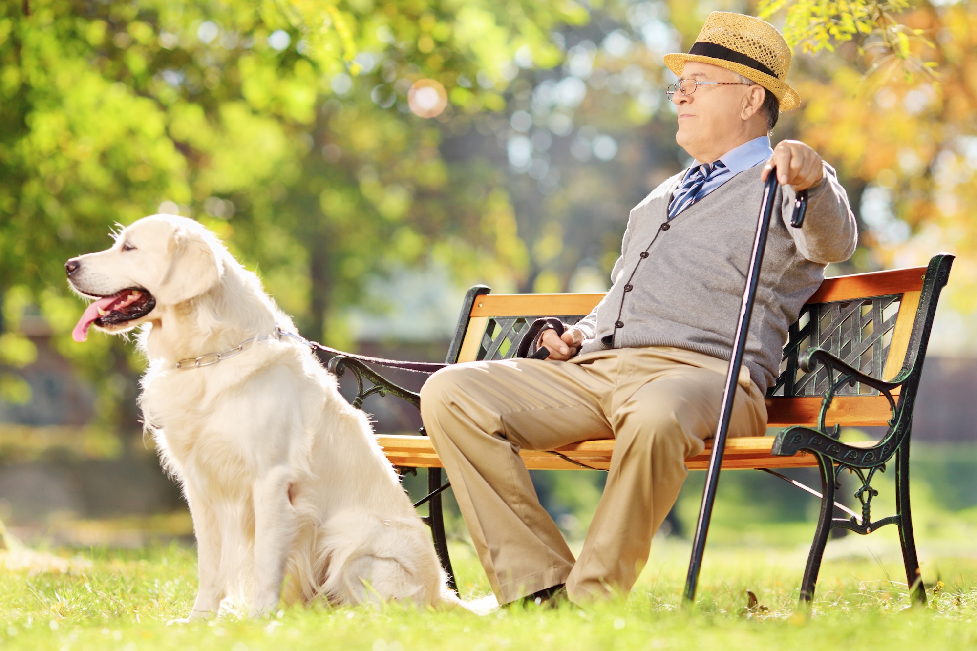 Hundepension eröffnen Hundepension eröffnen